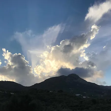 Hotel de apartamente Celia 3*